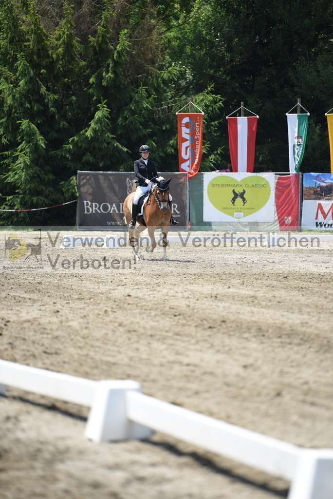 DSC_0360 | equestrian-live-com