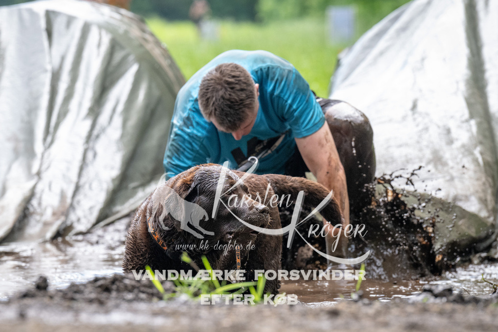 1119_ZZ92390 | kk-dogfotos