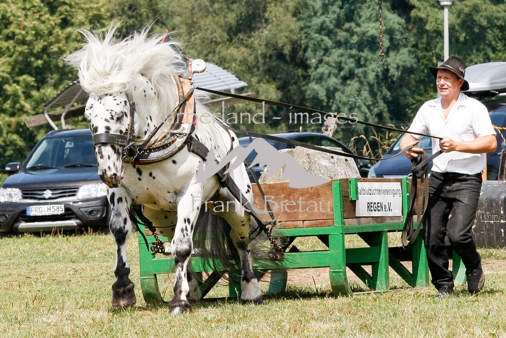 15082015-fb-6273 | Leistungsziehen in Poschetsried 2015
