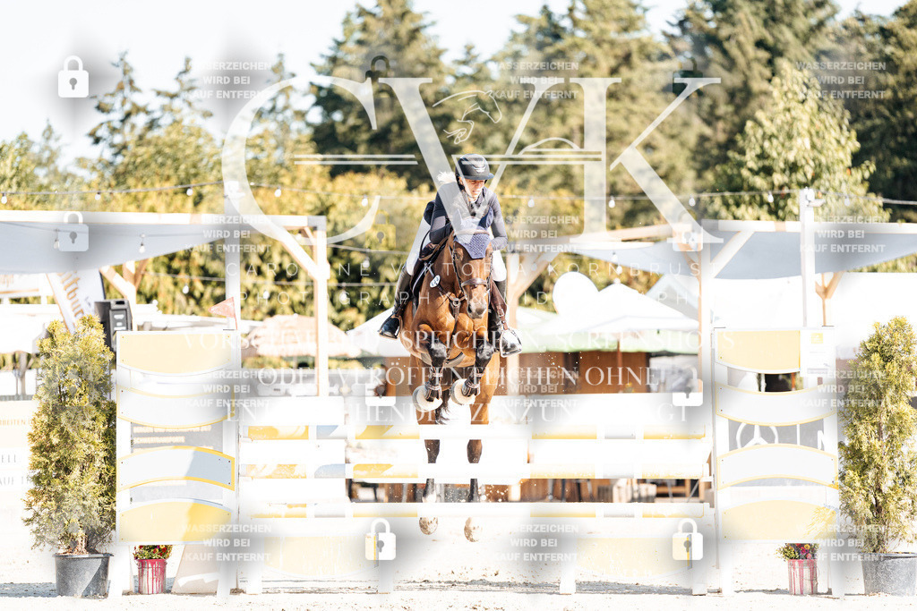 CK902027 | Turnierfotografie Pferdefotografie Trier Rheinland-Pfalz Pferdesport Reitsport Tierfotografie Sportfotografie Pferdevideo Pferdevideografie Equestrianvideography equestrianphotography  - Realisiert mit Pictrs.com