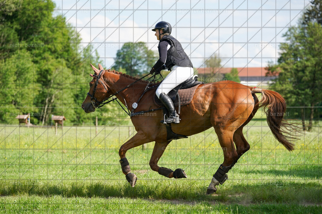 20240518-FAH04144 | Turnierbilder von Niederseon, Turnierfotografen Bayern, Fotoagentur Herrmann, Geländebilder, Reitsportfotografie
