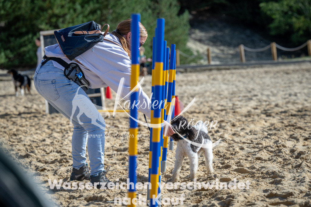 1328_ZZ90207 | kk-dogfotos