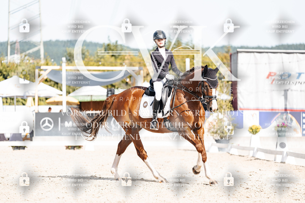 CK905615 | Turnierfotografie Pferdefotografie Trier Rheinland-Pfalz Pferdesport Reitsport Tierfotografie Sportfotografie Pferdevideo Pferdevideografie Equestrianvideography equestrianphotography  - Realisiert mit Pictrs.com