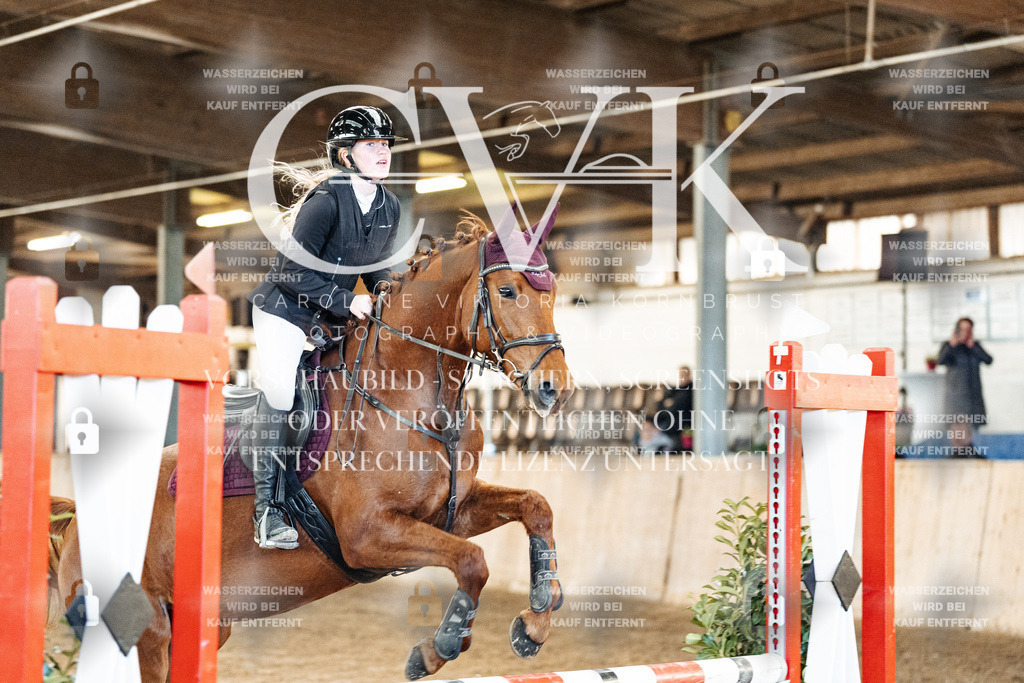 CK903854 | Turnierfotografie Pferdefotografie Trier Rheinland-Pfalz Pferdesport Reitsport Tierfotografie Sportfotografie Pferdevideo Pferdevideografie Equestrianvideography equestrianphotography  - Realized with Pictrs.com