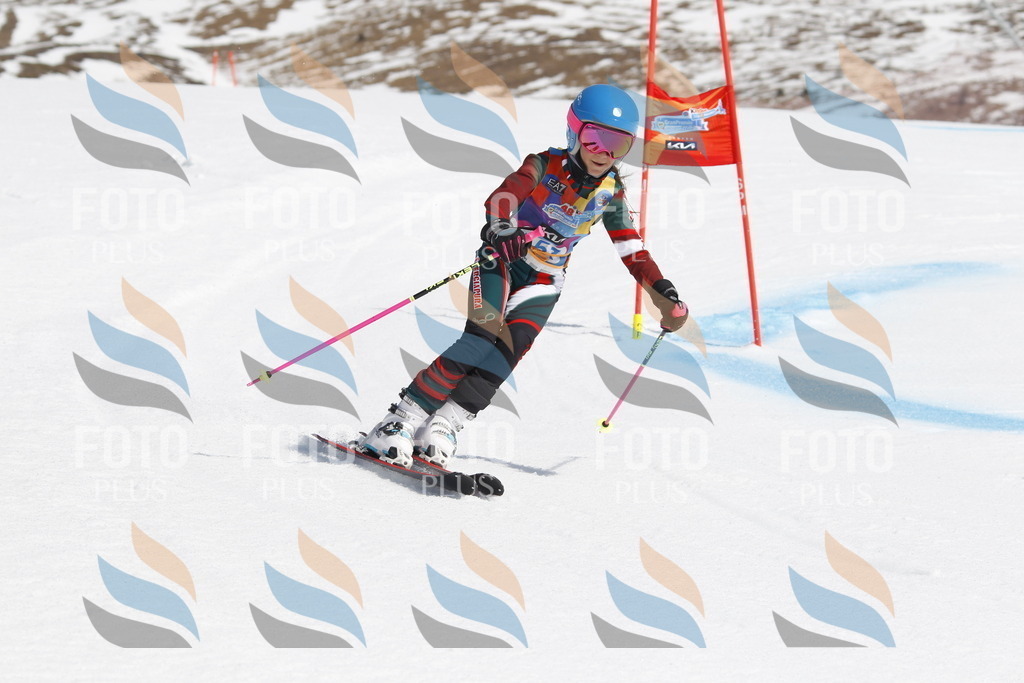 _U3G1248 | holidayphoto