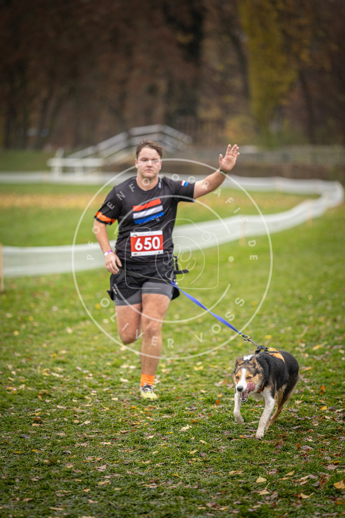 CaniXpix_DV3A0077 | Hundefotografie, Tierfotograf, Pfotenfotografie, Fotoshooting Hund, Hunde Portrait, Hundesport, Hundeportraits, Heideshooting, Hunde, Sportfotograf, Hundefotograf, Turnierhundsport, THS,  - Realisiert mit Pictrs.com