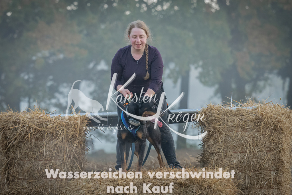 0819_ZZ97734 | kk-dogfotos