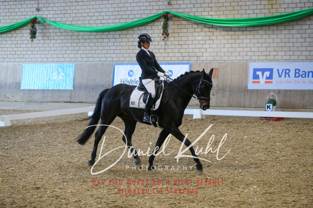 IMG_2907 | Turnierfotos kaufen im Webshop von Daniel Kuhl Photography – entdecke professionelle Reitsportfotos aus Turnieren & Events. Hochwertige Turnierbilder online bestellen & sichern. Jetzt Fotos von Reitsportturnieren kaufen!