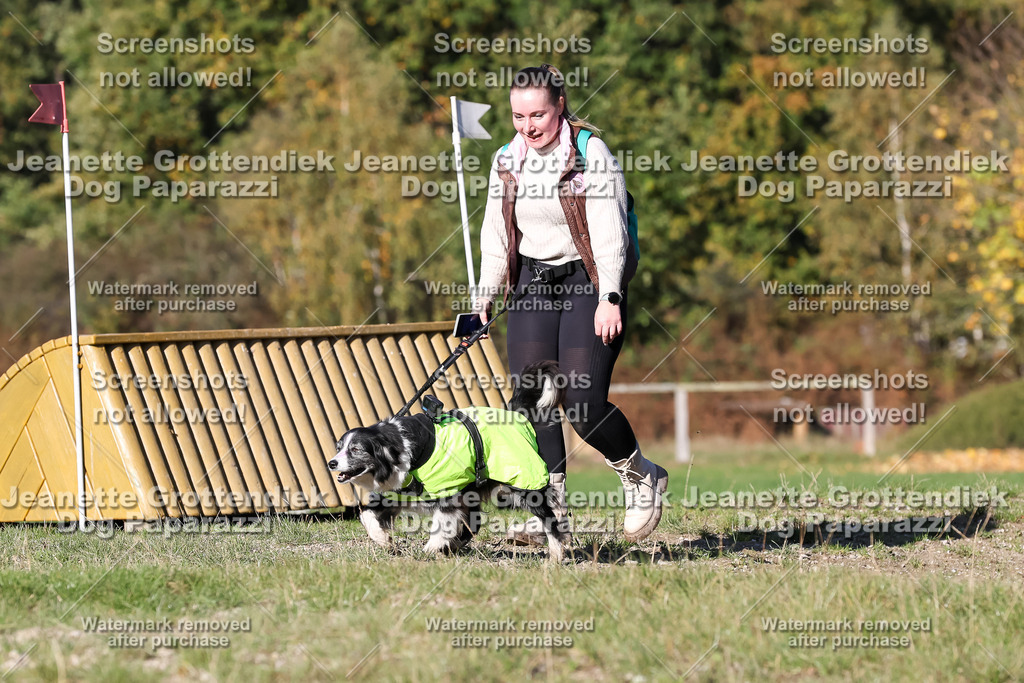 Dog Paparazzi - Strongdog 10-25-8909 | Dog Paparazzi Jeanette Grottendiek Fotografie & Videografie - Realisiert mit Pictrs.com