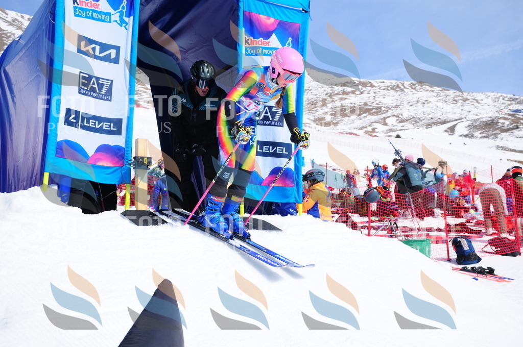 DSC_5492 | holidayphoto