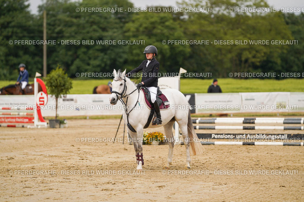 DSC00831 | Pferdegrafie