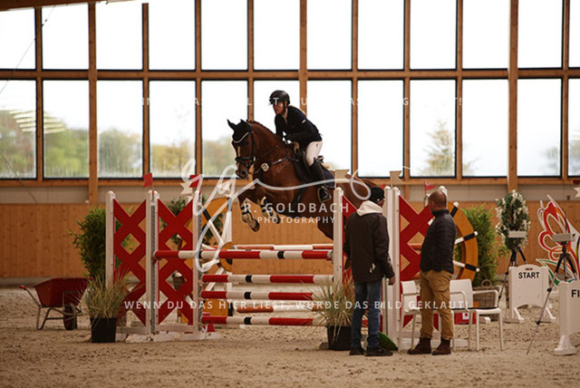 1J2A4357Francie Siegmund_ Heidi 682_ Kn277_ Hohen Wieschendorf_ Glantz | Foto- und Videografie für alles rund ums Pferd. Hochwertige Bilder und Videos vom Spring- und Dressurreiten, Voltigieren & mehr. Jetzt aktuelle Veranstaltungen und Preise im Shop ansehen. - Realisiert mit Pictrs.com