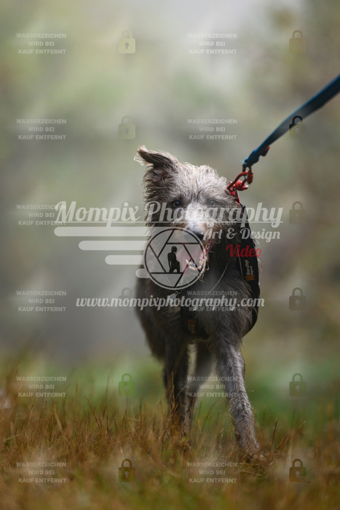 MompixPhotography_20TSB_E4_Bike-163 | PayLife