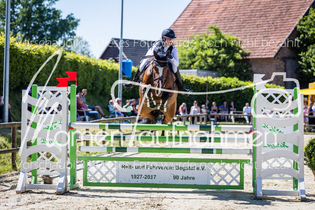 Donop24-M-Spr-058 | MomenTaufnahmen Pferdesportfotos