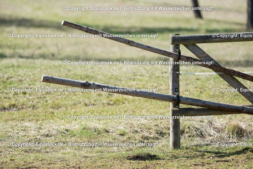 20170312_Koppelzaun_0008 | equistock