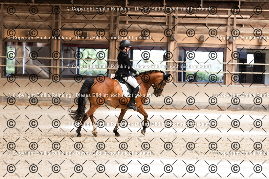 CL5A3884 | Emilia Reinking Fotografie - Realisiert mit Pictrs.com