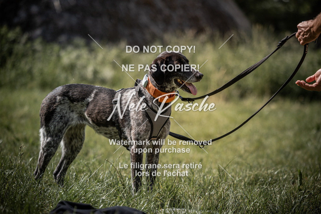 nelerasche_Do-spät_106 | nelerasche