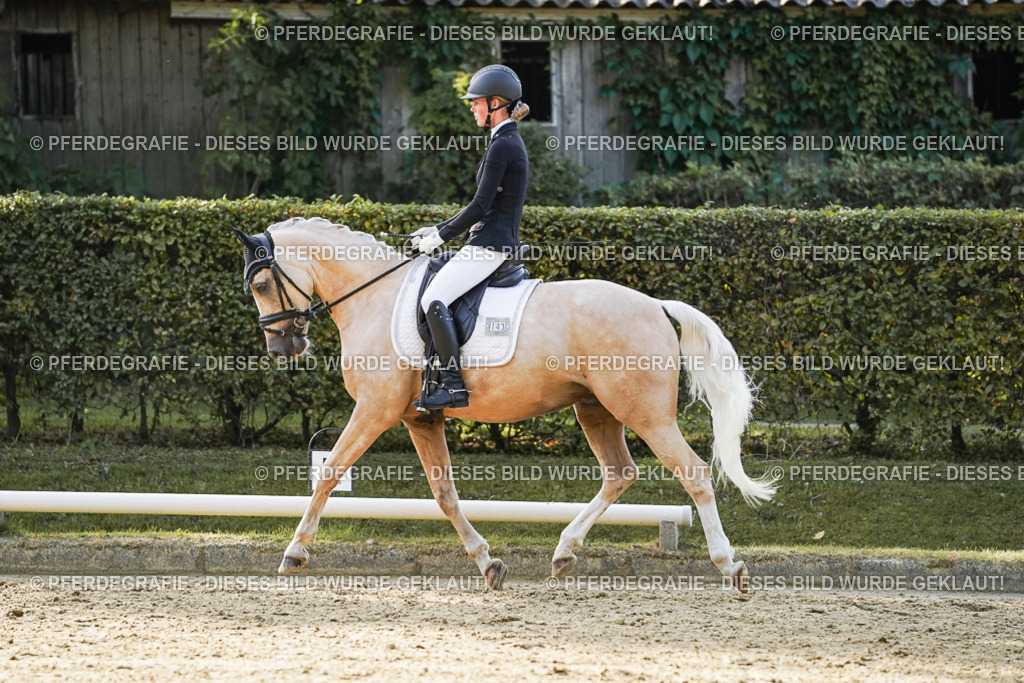 DSC04869 | Pferdegrafie