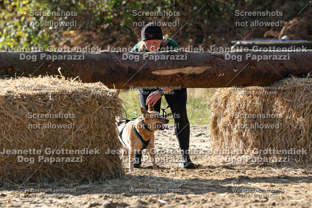 Dog Paparazzi - Strongdog 10-25-5989 | Dog Paparazzi Jeanette Grottendiek Fotografie & Videografie - Realisiert mit Pictrs.com