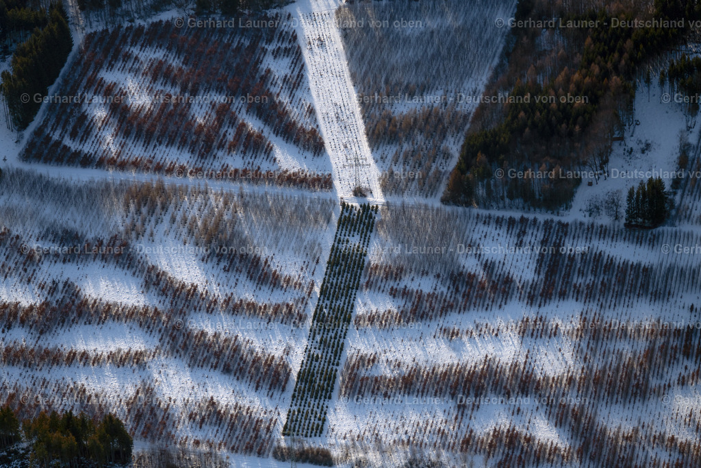 3900456 | Baumstrukturen bei Landsberg-Lech