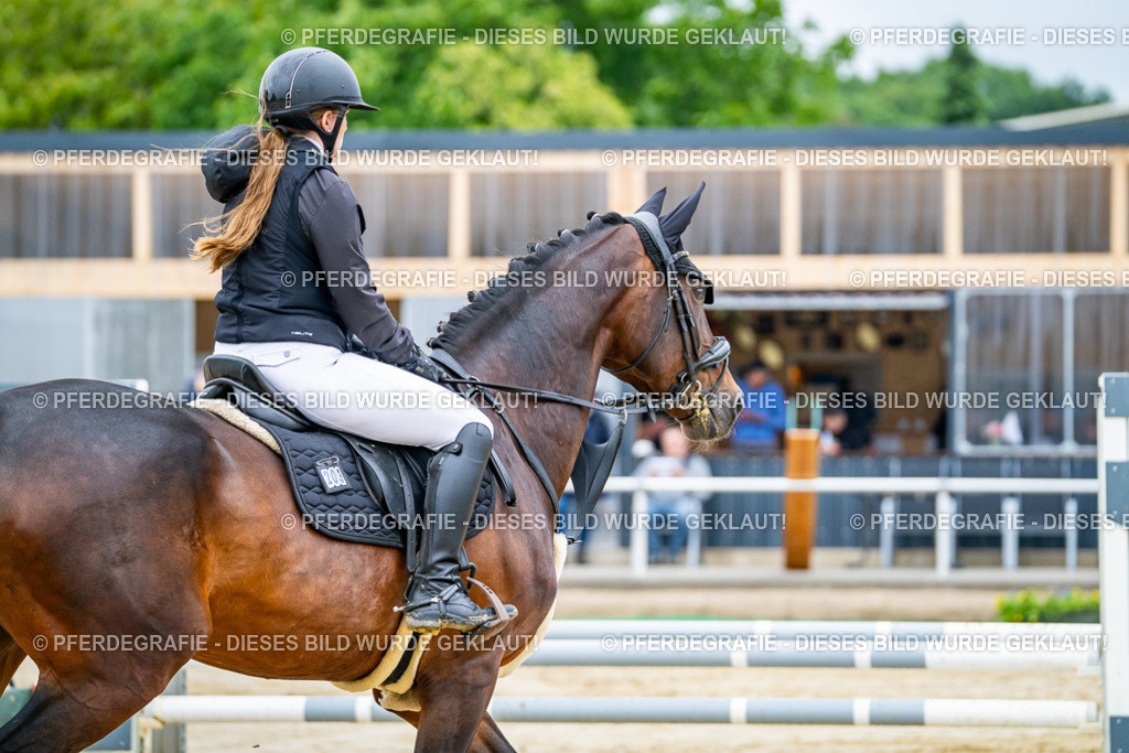 DSC01869 | Pferdegrafie