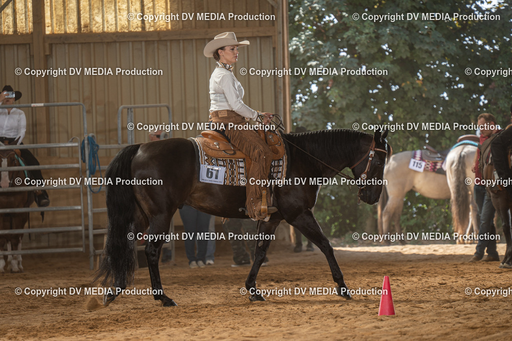 NID02958 | dv-media-shop - Realisiert mit Pictrs.com