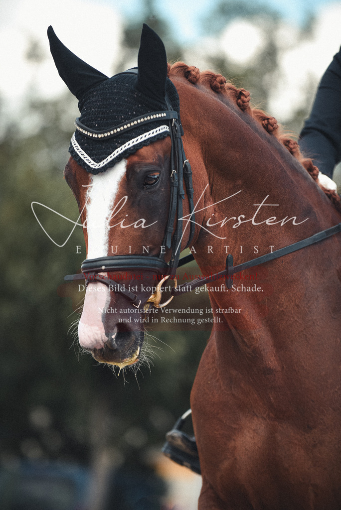 DSC_9331 | Pferde- und Turnierfotografie in Westsachsen. Pferdeportraits, Auftragszeichnungen und intuitive Kunst.