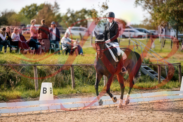 2026_10_03_Siefer-Hof_132403_Z63_86610917 | Professionelle Reitsport-, Turnier- und Eventfotografie von Robert Broda. Galerien mit ausgewählten und bearbeiteten Bildern direkt online ansehen und bestellen.