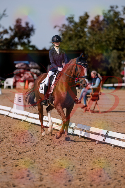 2026_10_03_Siefer-Hof_123443_Z81_32805421 | Professionelle Reitsport-, Turnier- und Eventfotografie von Robert Broda. Galerien mit ausgewählten und bearbeiteten Bildern direkt online ansehen und bestellen.