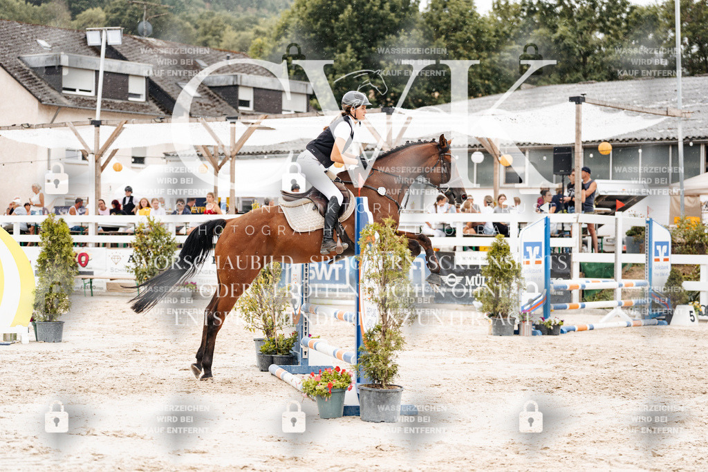 CK908539 | Turnierfotografie Pferdefotografie Trier Rheinland-Pfalz Pferdesport Reitsport Tierfotografie Sportfotografie Pferdevideo Pferdevideografie Equestrianvideography equestrianphotography  - Realisiert mit Pictrs.com