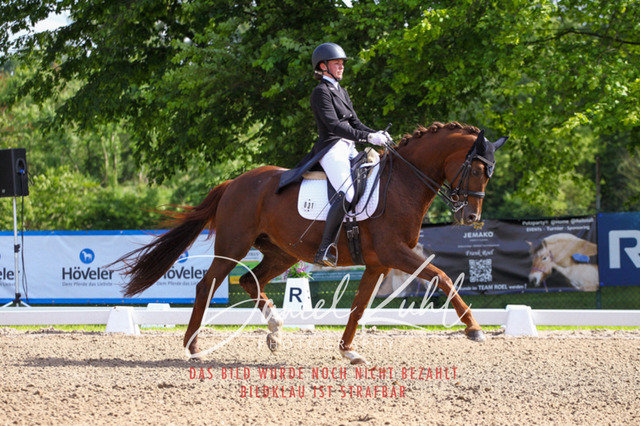 DKP41420 | Deine Turnierfotos vom Reitturnier online kaufen: Dressur, Springen & Siegerehrung. Professionelle Pferdefotografie aus dem Rheinland – als Download & Print.Alternative: Turnierfotograf für den Pferdesport: Finde deine Fotos von Dressur- und Springturnier