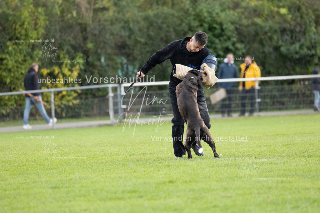 _16A7126 | Einzigartige Fotos von Hunden & Menschen –Actionfotos, Portraits, Vereinsaufnahmen & Paarshootings – authentisch, lebendig & mit Herz.
