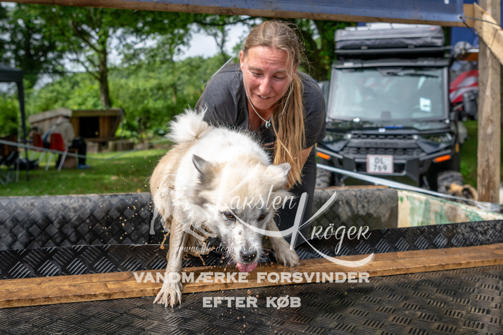 1040_ZZ91694 | kk-dogfotos