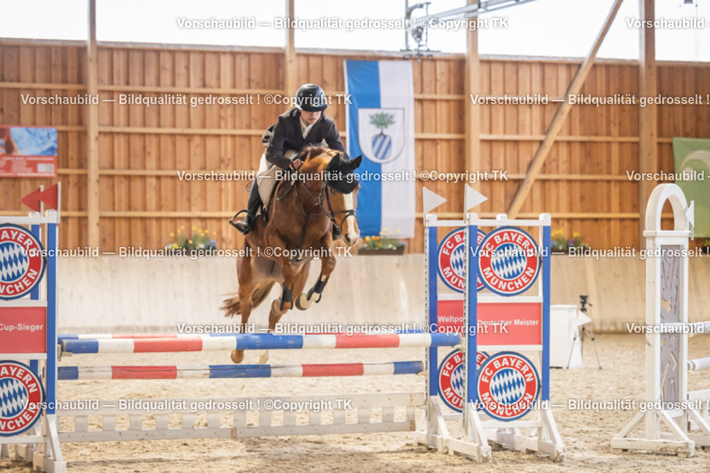 _D5A8007 | Emotionale Pferde- & People-Fotografie rund um Heidelberg, Leimen & Umgebung. Natürliche Fotos von Pferd, Mensch & Familie. Jetzt Termin sichern!