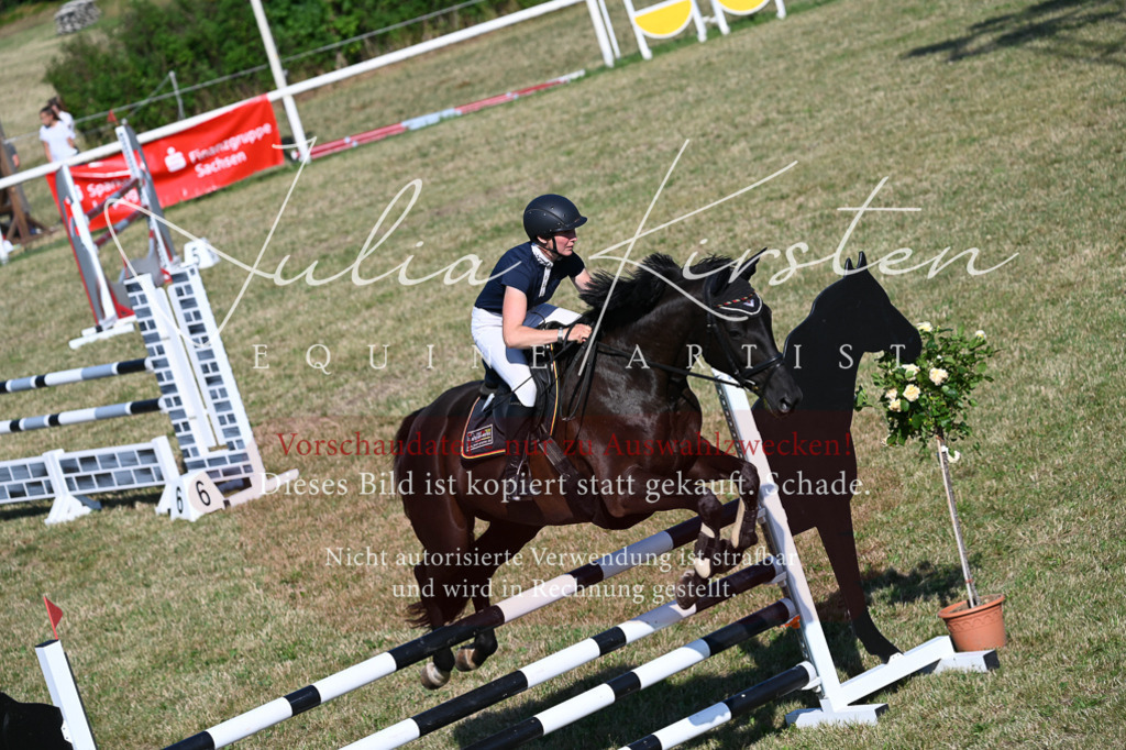 DSC_2540 | Pferde- und Turnierfotografie in Westsachsen. Pferdeportraits, Auftragszeichnungen und intuitive Kunst.