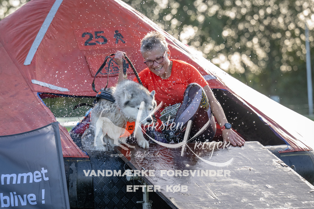 1101-91747 | kk-dogfotos