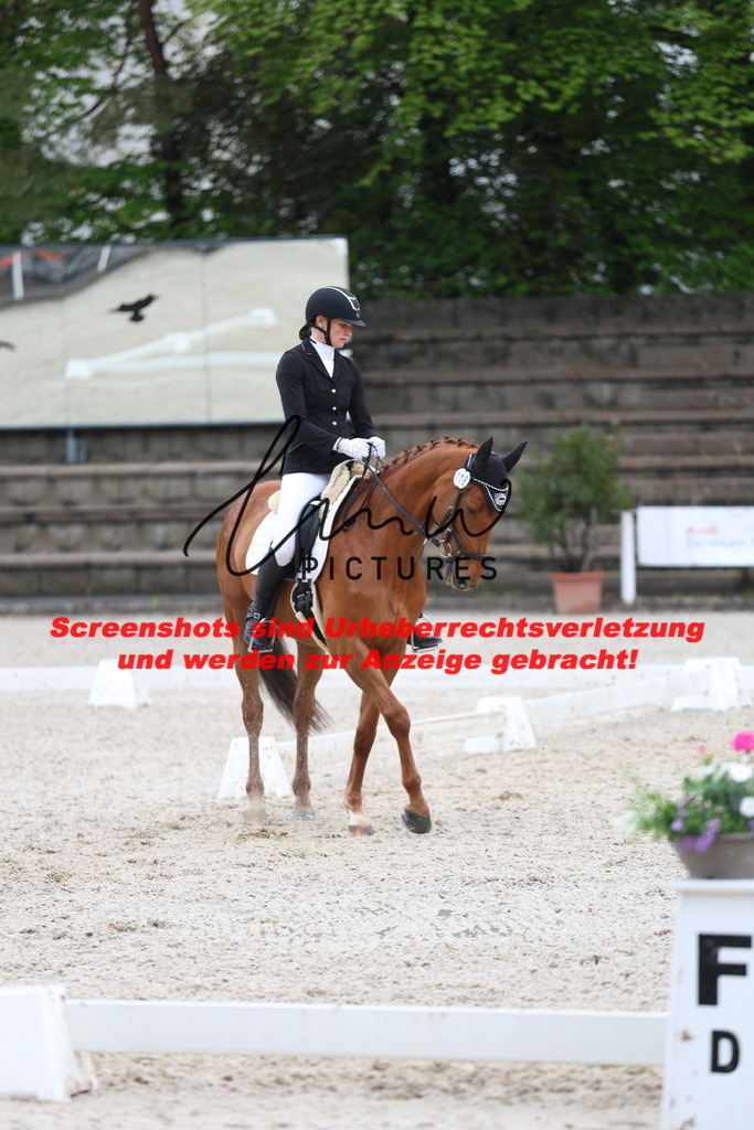 A40A9644 | lmwpictures - Realisiert mit Pictrs.com