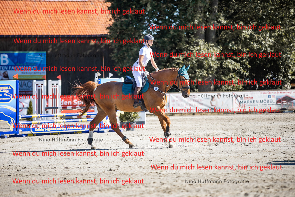 BK1A7980 | Turnierbilder Turnierfotos Nina Hüffmann Turnierfotografie Pferdefotografie Tierzeichnung Haustierzeichnung Pferdezeichnung Hundezeichnung Videograf  - Realisiert mit Pictrs.com