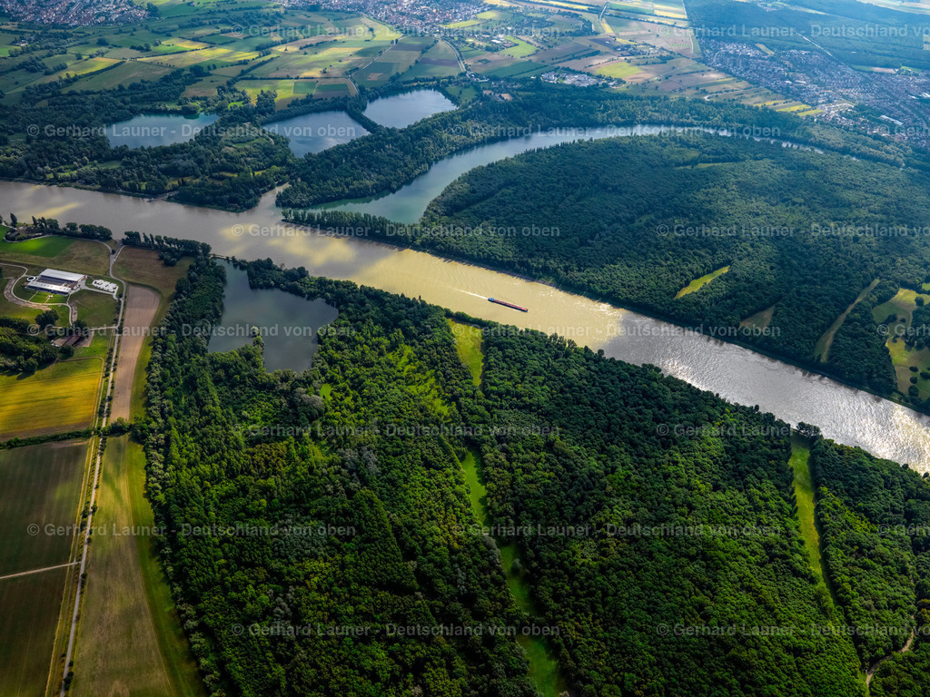 2739711 | Rhein südlich Mannheim