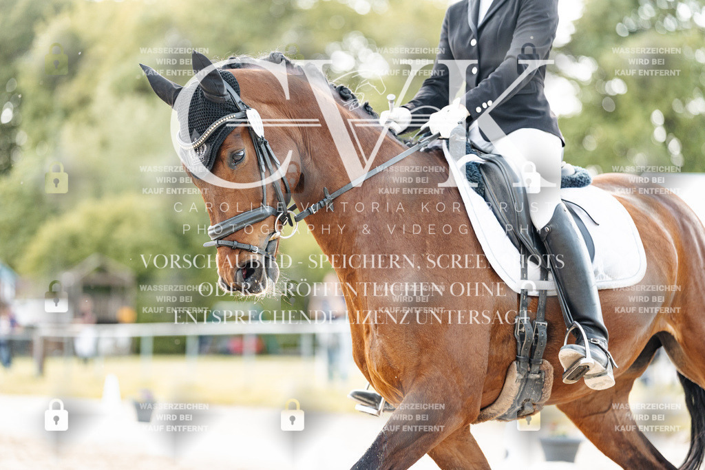 CK909849 | Turnierfotografie Pferdefotografie Trier Rheinland-Pfalz Pferdesport Reitsport Tierfotografie Sportfotografie Pferdevideo Pferdevideografie Equestrianvideography equestrianphotography  - Realisiert mit Pictrs.com