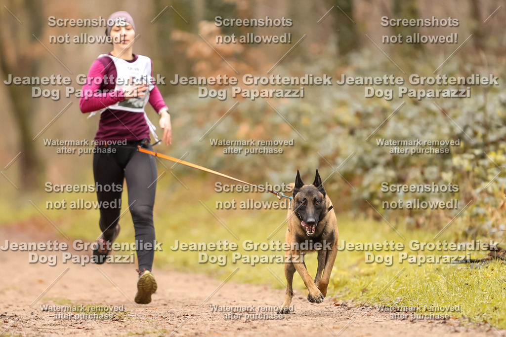 Dog Paparazzi - Speedhunter Mannheim  2025-137 | Dog Paparazzi Jeanette Grottendiek Fotografie & Videografie