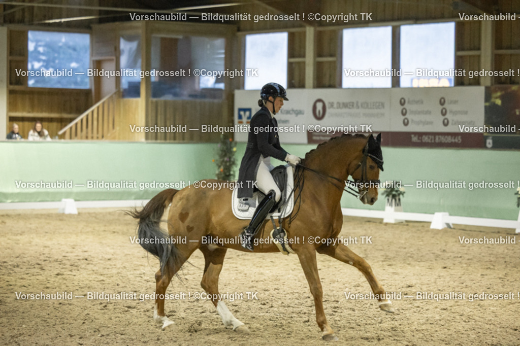 _D5A7310 | Emotionale Pferde- & People-Fotografie rund um Heidelberg, Leimen & Umgebung. Natürliche Fotos von Pferd, Mensch & Familie. Jetzt Termin sichern!