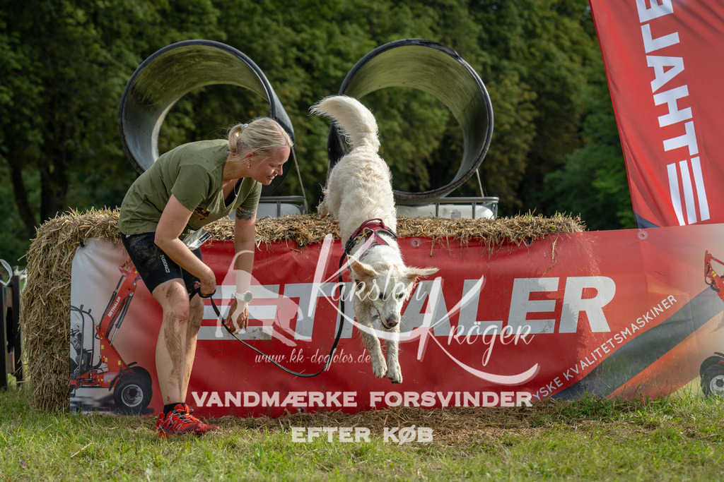 0955_ZZ91690 | kk-dogfotos