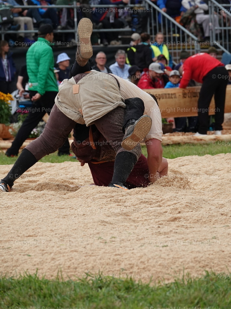 DSC05377 | Schwingen - Realisiert mit Pictrs.com