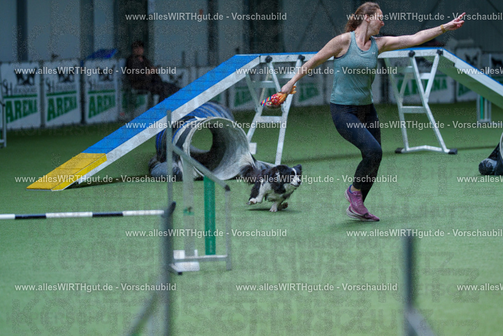 @allesWIRTHgut_Tierfotografie - www.allesWIRTHgut.de - 2604251253-7R502997 | Professionelle Tierfotografie in Mönchengladbach von Daniel Wirth (allesWIRTHgut). Liebevolle & natürliche Bilder von Hunden & Katzen für unvergessliche Erinnerungen.