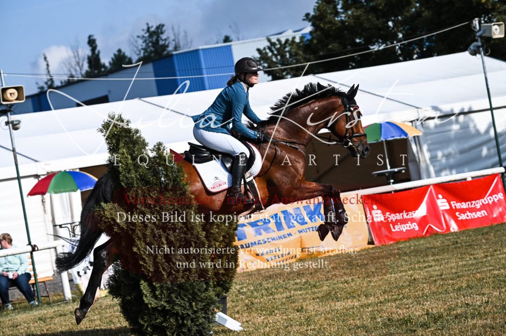 DSC_7553 | Pferde- und Turnierfotografie in Westsachsen. Pferdeportraits, Auftragszeichnungen und intuitive Kunst.