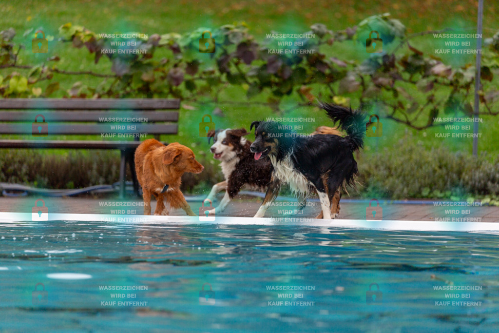 _HP_7104_1000o | HetPix, HetPix Fotodesign, Fotografie, Fotodesign, Webshop, Sportfotografie, Portraitfotografie, Onlineshop, Sportfotografie, Polch, Motorsportfotografie, Eventfotografie