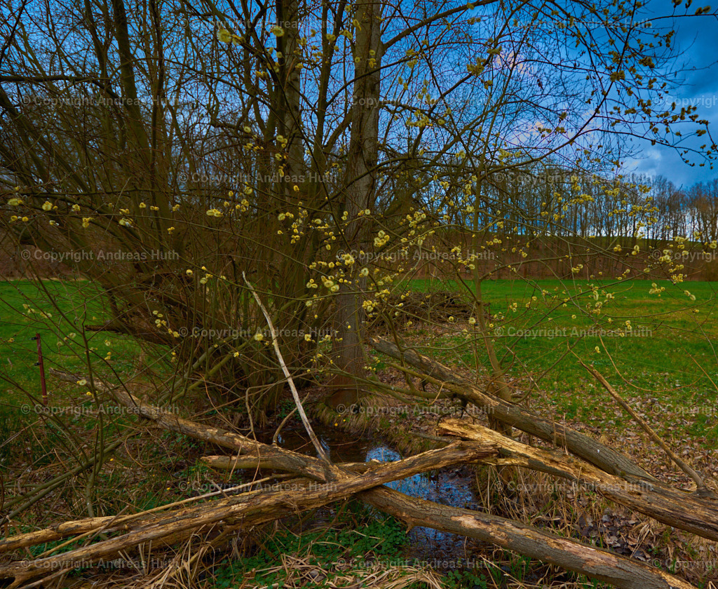 Das Tal der Wesenitz westlich von Stolpen-Altstadt 05 | Bedeutsame Landschaften Deutschlands - Realisiert mit Pictrs.com