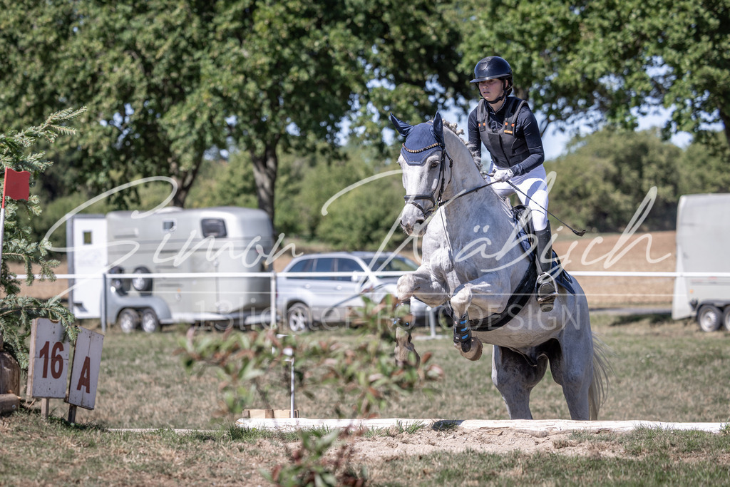 20260906-_3LI4373 | Tierfotografie Pferde, Hunde, Katzen, Haustiere.
Turnierfotografie Reitturniere, Reiten, Springreiten, Dressur in Hanau, dem Main-Kinzig-Kreis und dem Rhein-Main- Gebiet um Frankfurt