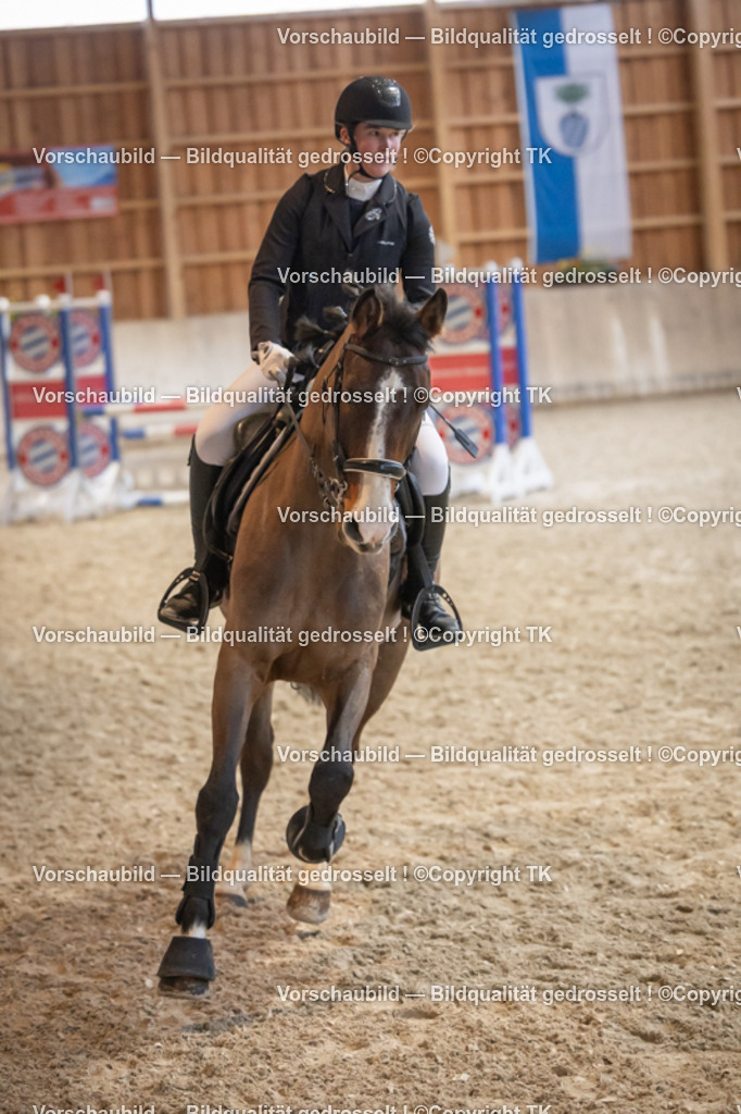 _D5A7733 | Emotionale Pferde- & People-Fotografie rund um Heidelberg, Leimen & Umgebung. Natürliche Fotos von Pferd, Mensch & Familie. Jetzt Termin sichern!